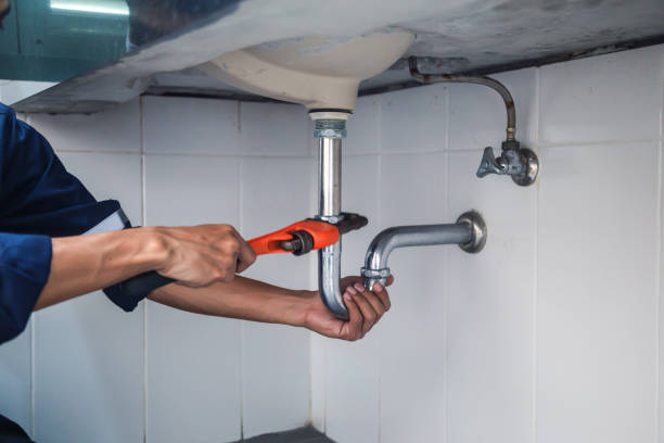 Best Local Plumber Services  in Carbonville, UT